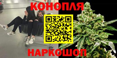 прущие крисы Малгобек
