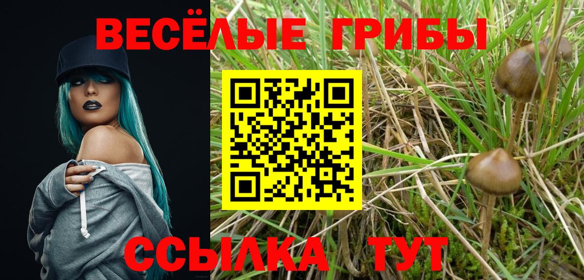 Галлюциногенные грибы мицелий Ивантеевка