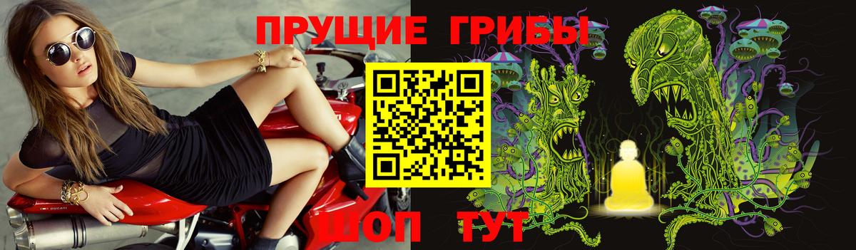 Ивантеевка  Псилоцибиновые грибы мицелий  Вход с VPN  Псилоцибиновые грибы ЛСД 